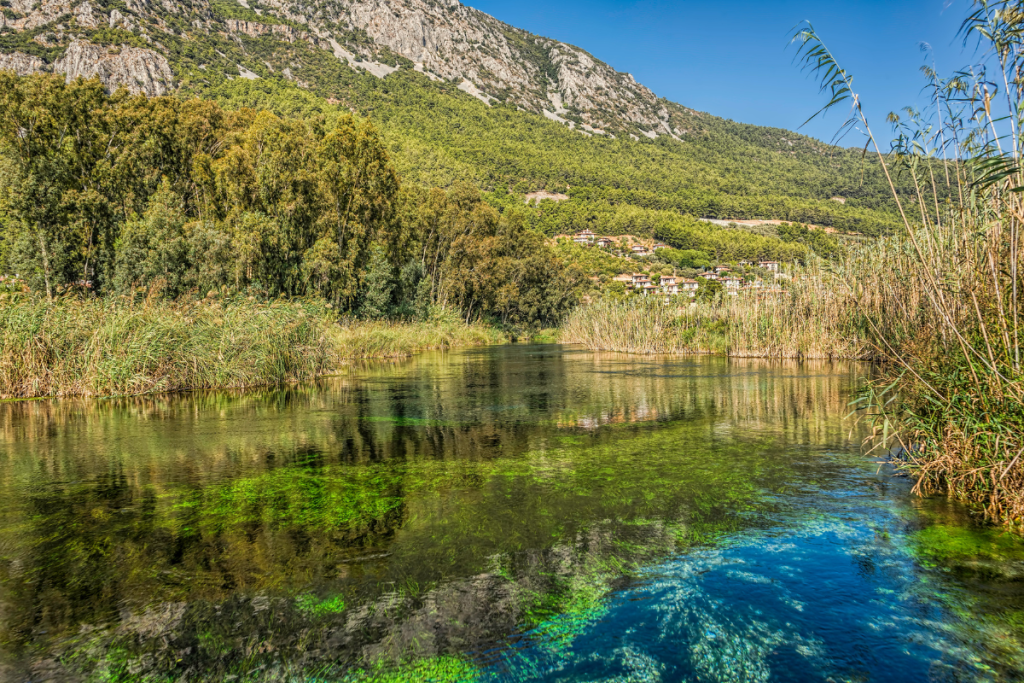 Always use water filters for hiking if you don't carry all the water you need.