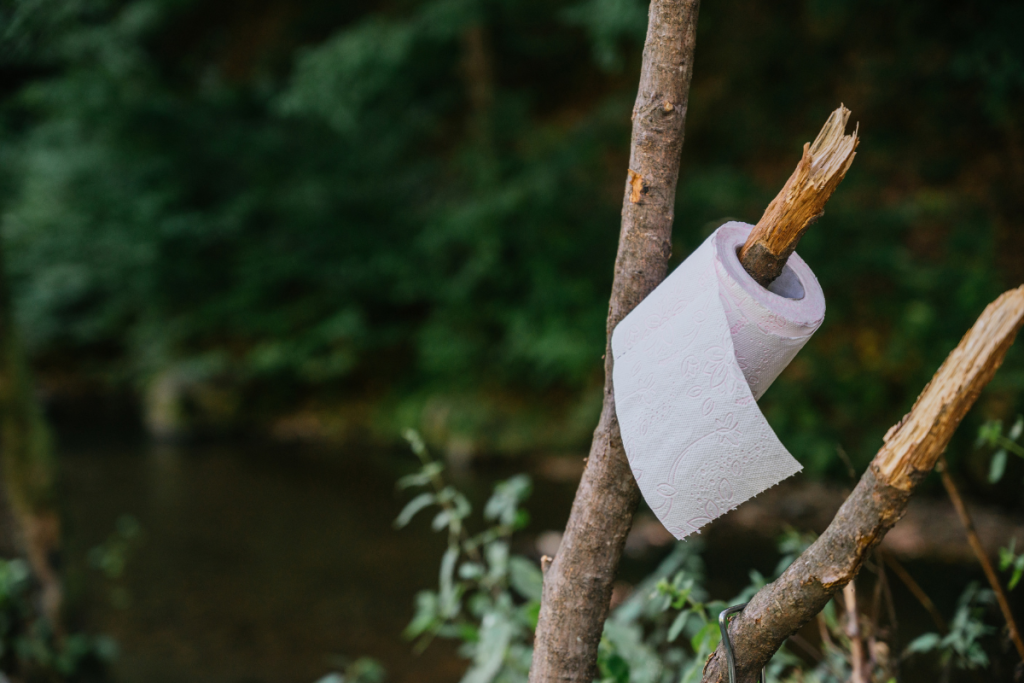 Other hikers and campers are the most important source of Norovirus.